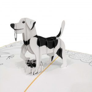 Hund in 3D + Magazin + Pinselstifte