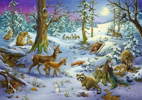 Sticker-Adventskalender - Tiere im Winterwald